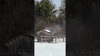 Notes From the Fields and Forests of Upsate NY- Edition zero