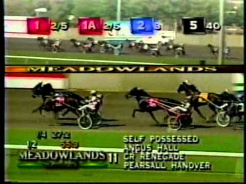 Hambletonian Final 1999