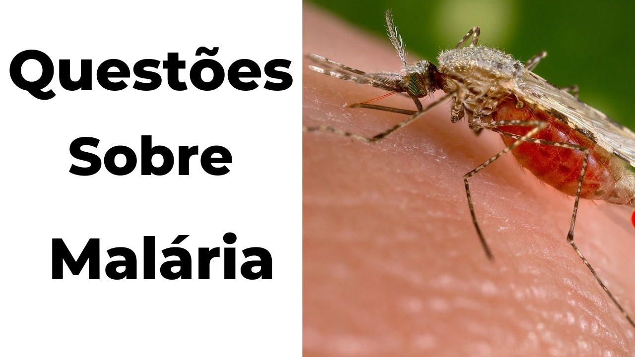 Questões sobre a MALÁRIA