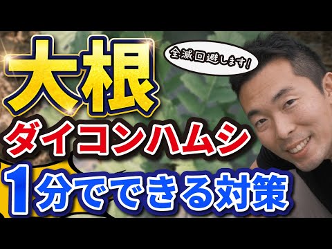 堆肥中の虫の出現を避ける 大きな白い土の甲虫、金色の甲虫、腐植土