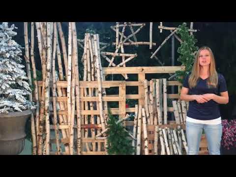 download lagu mp3 mp4 Birch Branches Michaels, download lagu Birch Branches Michaels gratis, unduh video klip Birch Branches Michaels