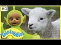 Teletubbies Full Episode Mary Had A Little Lamb Episode 257