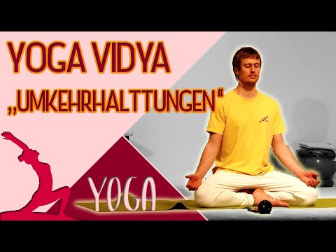 Yoga Vidya "Umkehrhaltungen" mit Adrian - Grundreihe Mittelstufe Live - 16:15 Uhr 01.02.2021