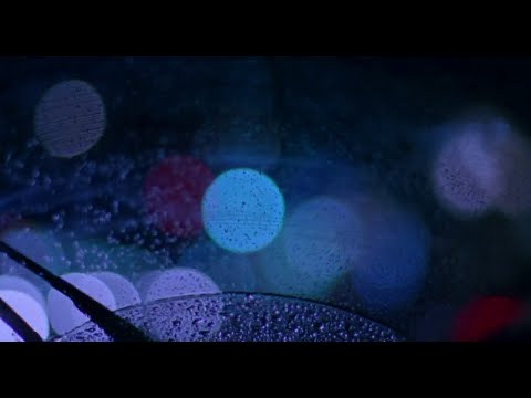 Fly Away Home (1996) - Opening Scene