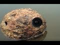 Spy Poo Films Elephants Like Never Before