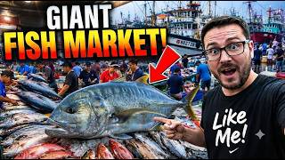 Fresh Fish Market in Asia | Japan, Korea, Indonesia & Thailand Fishing Life