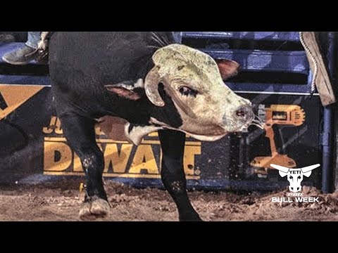 PBR Legend: Dillinger