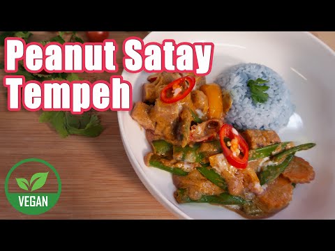 Spicy Peanut Satay Tempeh - Easy Vegan Recipe
