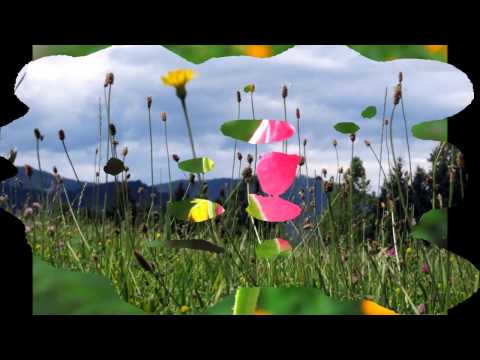 Pričeval ljubezen bom