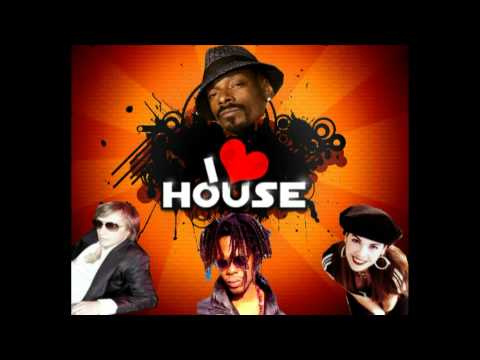 David Guetta & Snoop Dogg Vs Ice Mc Vs 20 Fingers Mashup Mix.mpg