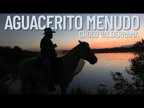 Cholo Valderrama - Aguacerito Menudo (Video Oficial)
