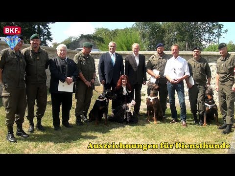 16. 8. 2018 - Rochusfeier des Militärhundezentrums Kaisersteinbruch 2018 - CCM-TV.at