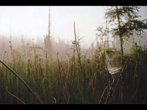 Drowned in November - Early Summer