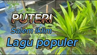 Download lagu PUTERI 'iklim saleem lirik lagu,Malaysia full mp3