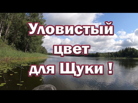 Фото СЕКРЕТНЫЙ ЦВЕТ ВОБЛЕРА НА ЩУКУ! Какой цвет лучше атакует Щука.  Рыбалка на спиннинг.