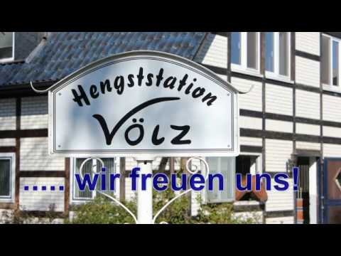 Stall VÖLZ Trailer Hengstvorführungen 2017