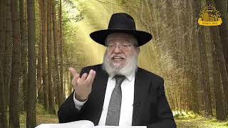 דף היומי בחצי שעה – סנהדרין דף ס”ט