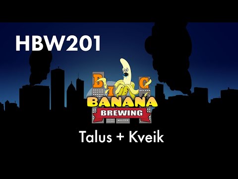 HBW 201 - Talus Hops