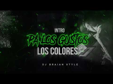 INTRO + PA LOS GUSTOS LOS COLORES - DJ BRAIAN STYLE
