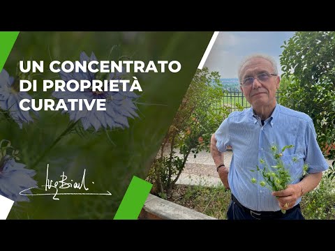 Una Pianta che "Guarisce tutto, fuorché la morte"