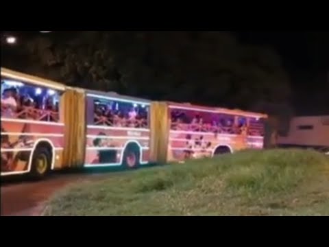 Bárbara Labres e MC WM - Hoje é Rave - TREM BALA DIVERSÕES