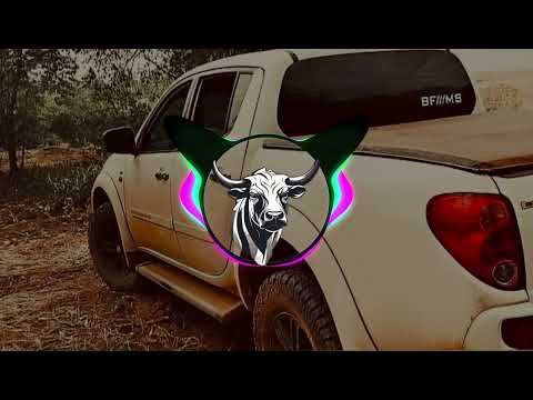 Poeira nas canelas (COM GRAVE)