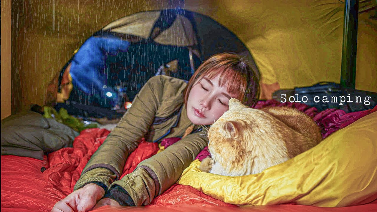  Solo camping in the cozy winter rain, and two cats in a sleeping bag / 🔥Bamboo grill + whiskey🥃