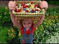 PBS Kids Share The Earth Plant A Garden