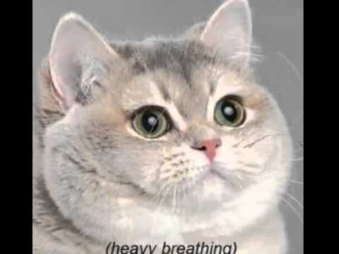 My minds telling me no....but my body