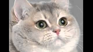 My minds telling me no....but my body