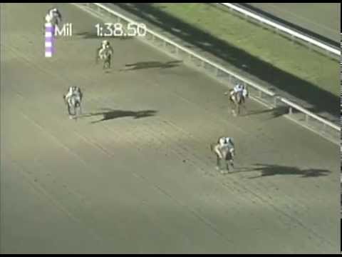 Clásico del Caribe 2000 - My Own Business (VEN)