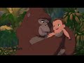 If Tarzan Was Made In Zambia Zambia