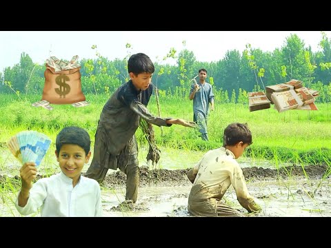 Sudais Tekadar Sho | Pashto New Funny Video By team SBO