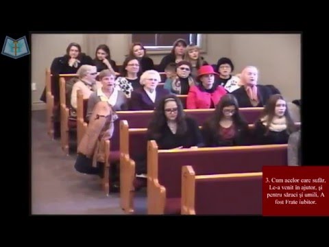 Feb 14 2016 AM - Mihai Cabau