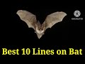 Bat/Best 10 Lines on Bat/Essay on Bat in English/Few Lines on Bat/#bat