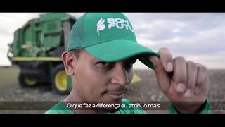 Colheita de Algodão safra 2019  - #Websérie AgroSafra