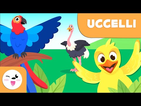 Gli uccelli per bambini - Animali vertebrati - Scienze naturali per bambini