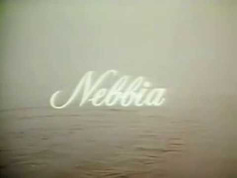 Nebbia - Raffaele Andreassi