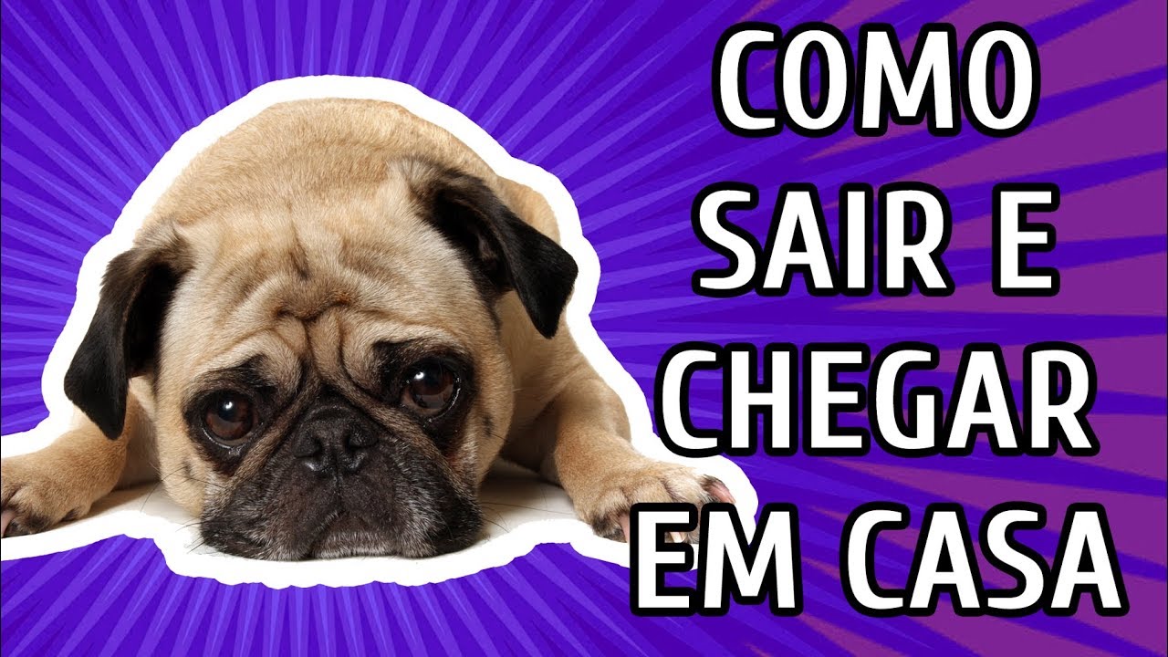 COMO SAIR E CHEGAR EM CASA PRA EVITAR ANSIEDADE DE SEPARAÇÃO