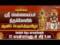 நெல்லையப்பர் கோயில் ஆனிப் பெருந்திர�