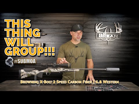 Great Caliber for Brown Bears