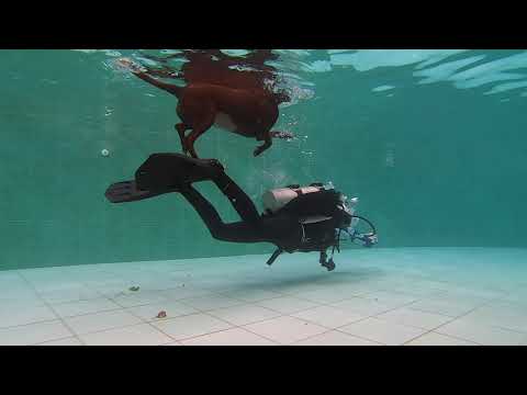 Finning Techniques & Neutral Buoyancy