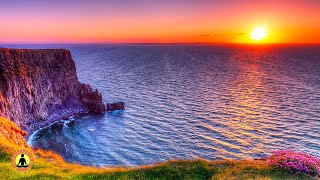 🔴 Relaxing Music 24/7, Stress Relief Music, Sleep Music, Meditation Music, Study, Calming Music