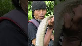 Download lagu THE LARGEST LINEAR HELMET mp3