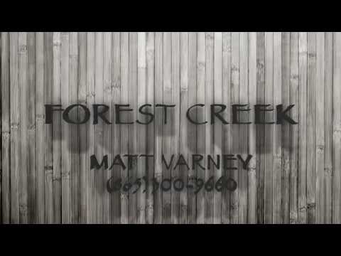 Forest Creek Progress