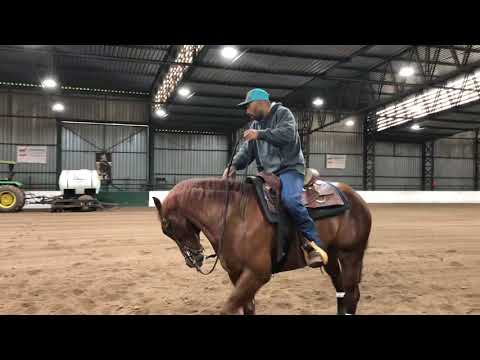 Dica de flexionamento