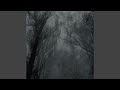 This House Is Not The Same Slowed Reverb With Rain