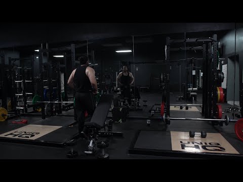 Spring Bulk Arc: Day 152 || Back & Biceps 241.3lb