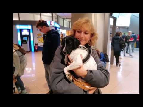 Ankunft in Hamburg am 12.10.2019