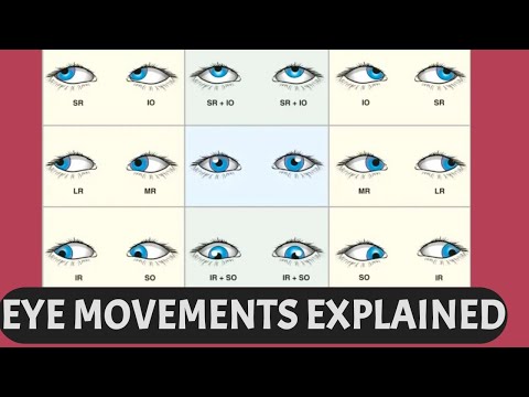 EYE MOVEMENTS EXPLAINED  | Ductions, versions, vergence, six cardinal gaze positions